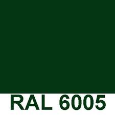 Vert RAL 6005 Sablé